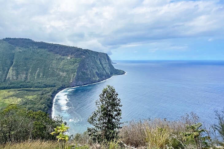 Waipio Valley Lookout