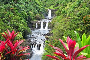 12 Interesting Things to Do near Hilo, HI