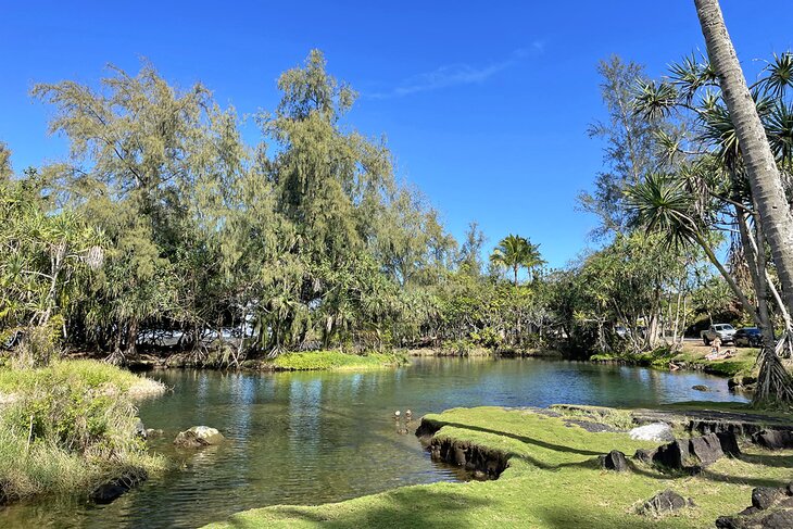 Wai'olena Beach Park