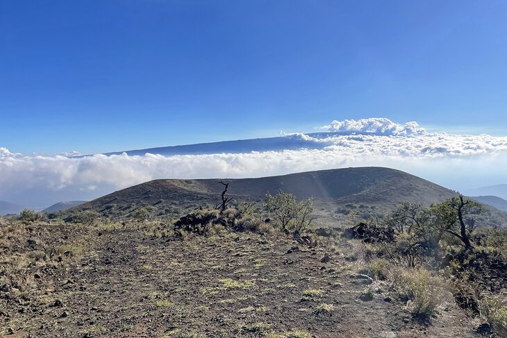 Mauna Kea Summit