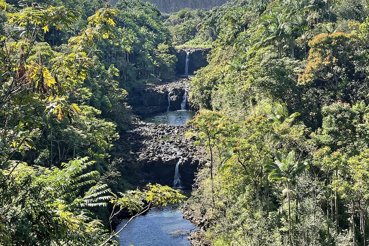 Waterfalls at the Umauma Experience