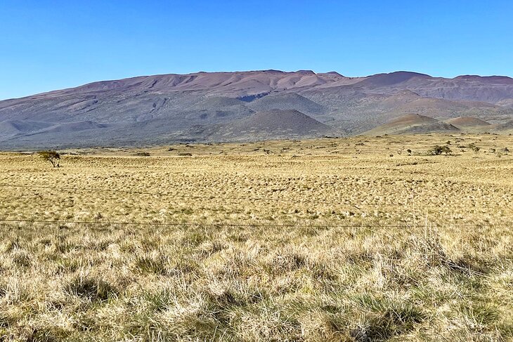 View of Mauna Kea