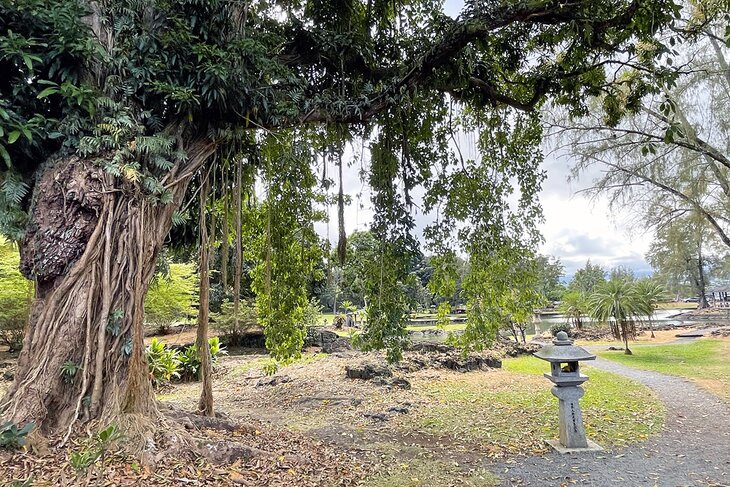 Lili'uokalani Gardens