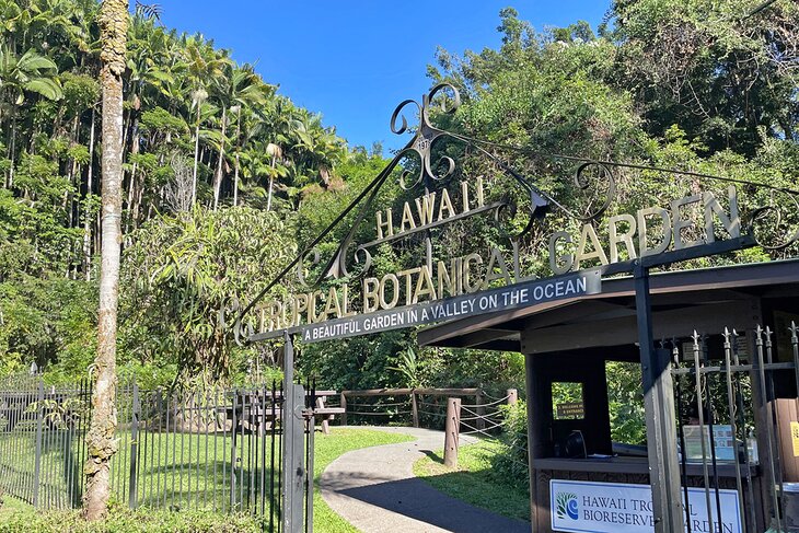 Hawaii Tropical Botanical Garden 