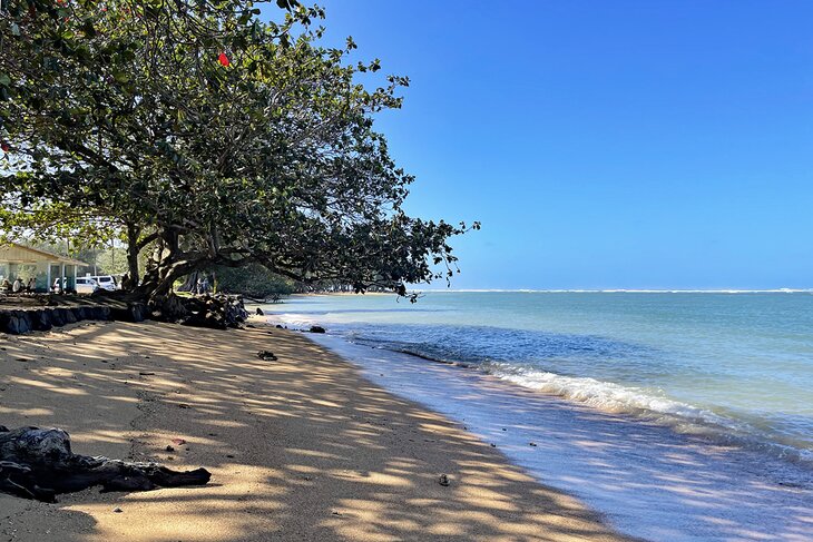 Anini Beach