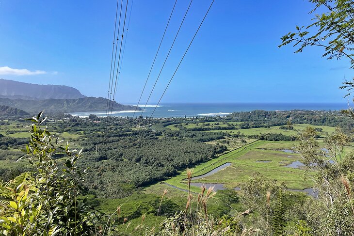 View of the Hanalei Valley from the Okolehao Trail