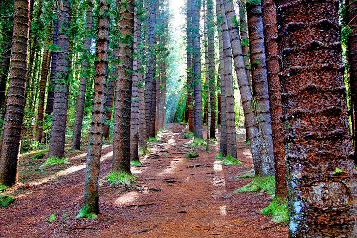 Sleeping Giant Trail (East)