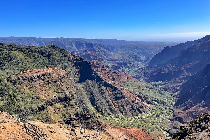 Waimea Canyon Trail