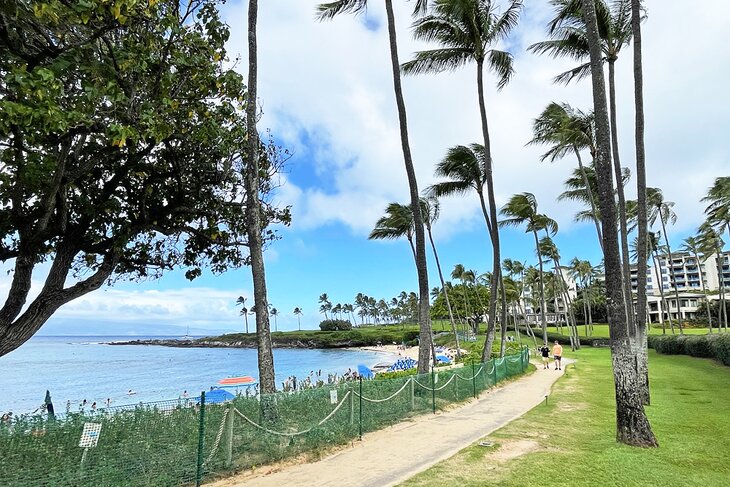 Kapalua Coastal Trail