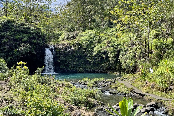 Pua'a Ka'a Falls Trail