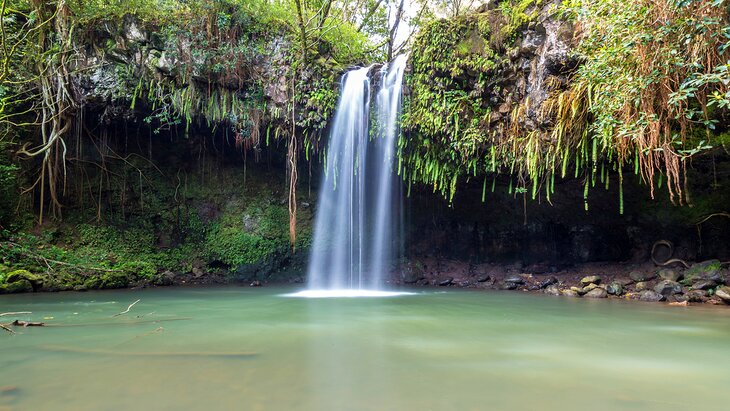 Twin Falls, Maui