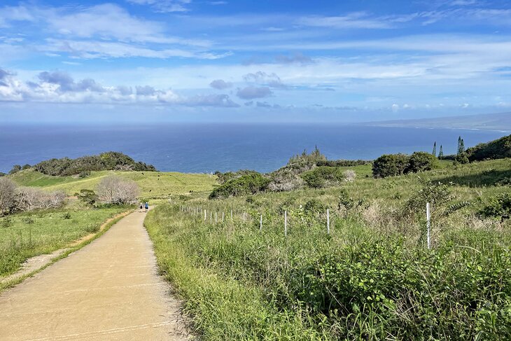 Waihe'e Ridge Trail