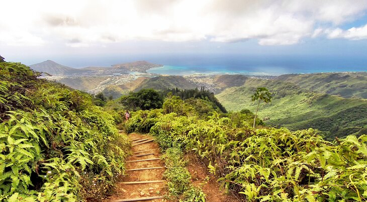 Kuliouou Ridge Trail