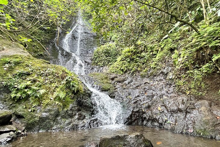 Likelike Falls