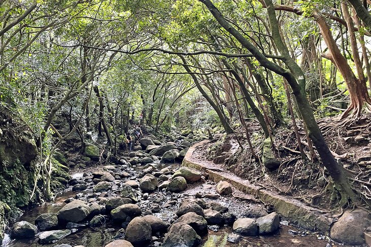 Lulumahu Falls Trail