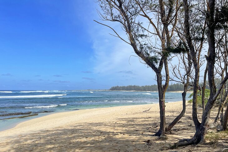 Turtle Bay to Kahuku Point hike