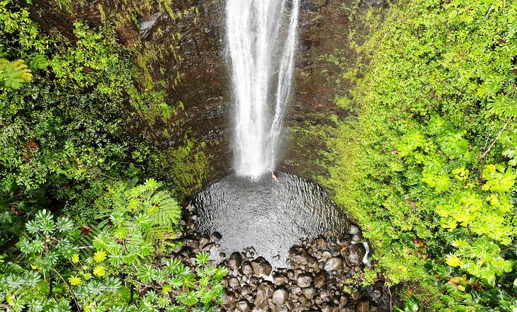 Aerial view of Manoa Falls