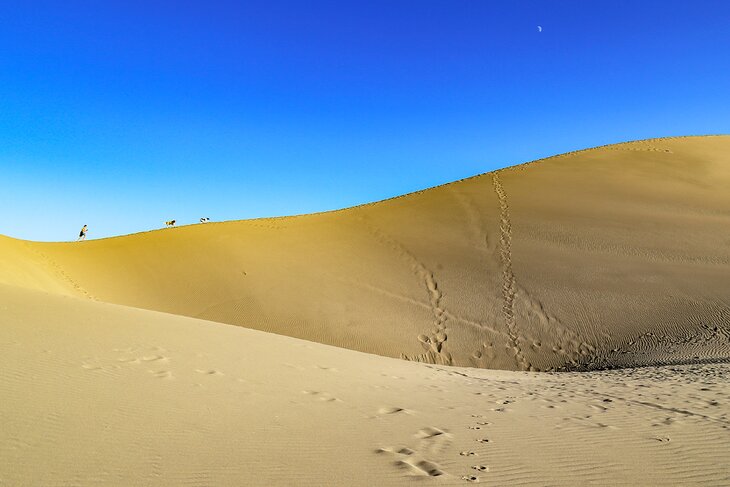 Bruneau Dunes State Park