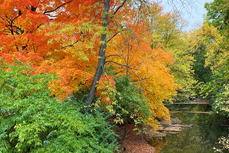 Crystal Lake Park