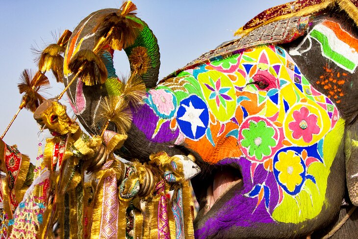 Elephant Festival in Jaipur