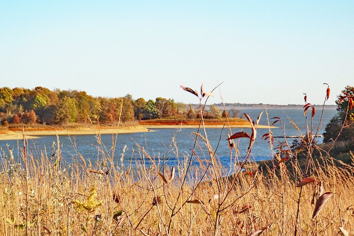 Rathbun Lake