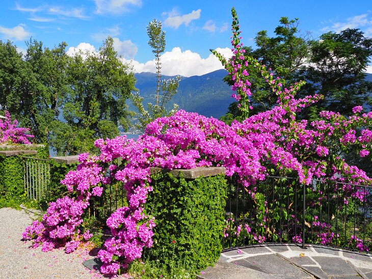 Gardens of Brissago