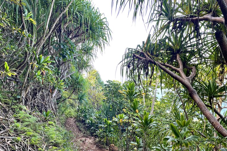 Kalalau Trail