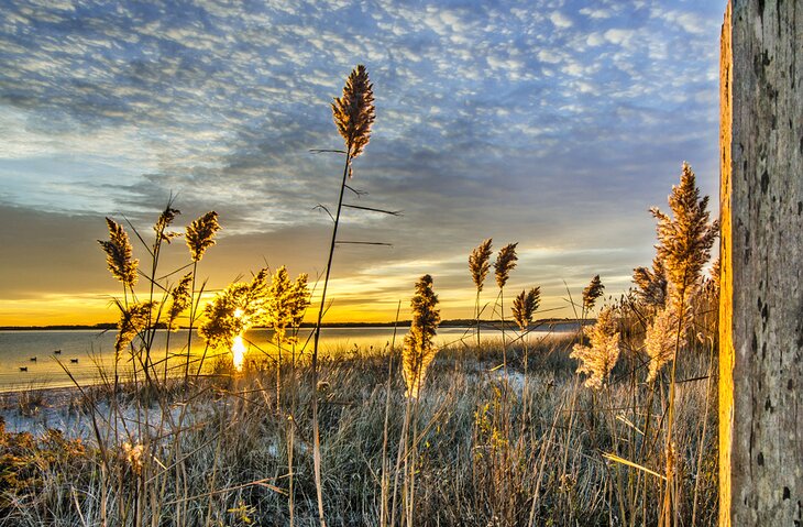 Veterans Park Beach