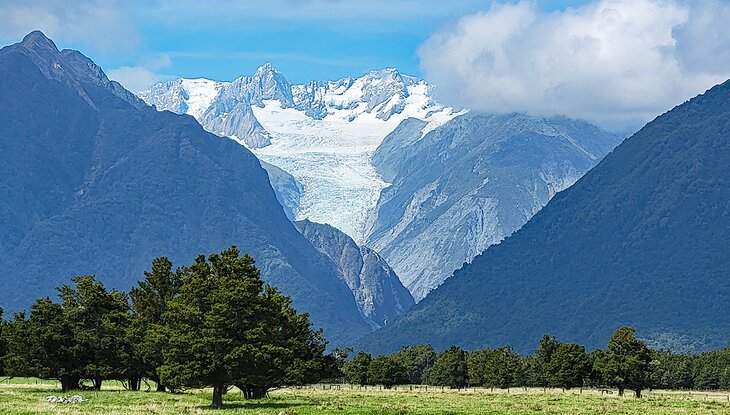 Fox Glacier from near the Fox Glacier Lookout