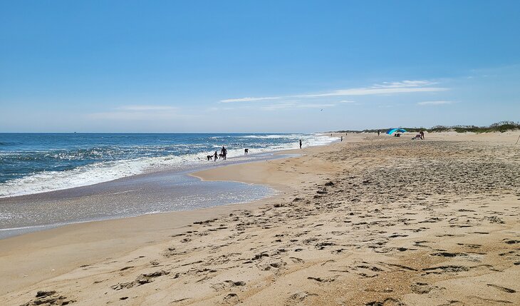 Beach at Salvo