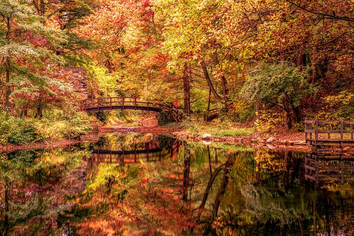 Stan Hywet Hall & Gardens in Akron