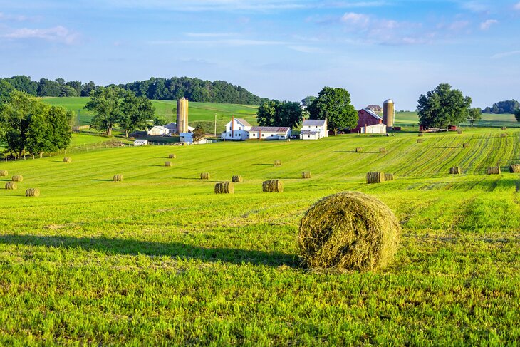 Amish Country, Ohio