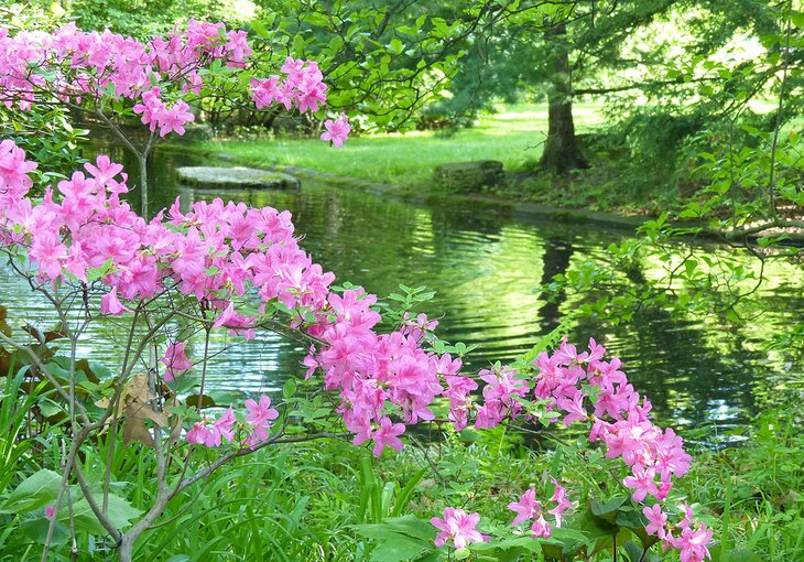 Toledo Botanical Garden