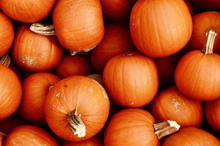 Pumpkins in Circleville, Ohio