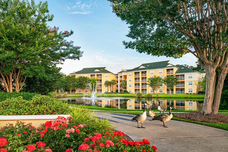 Photo Source: Sheraton Broadway Resort Villas