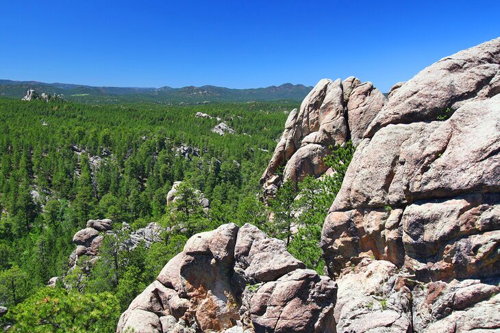 Black Hills National Forest