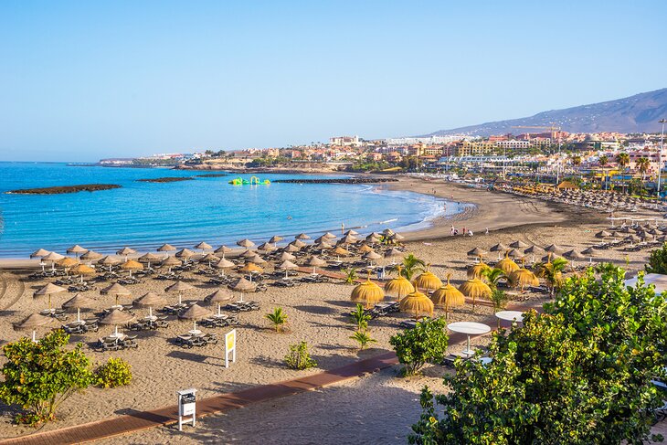 Playa Torviscas