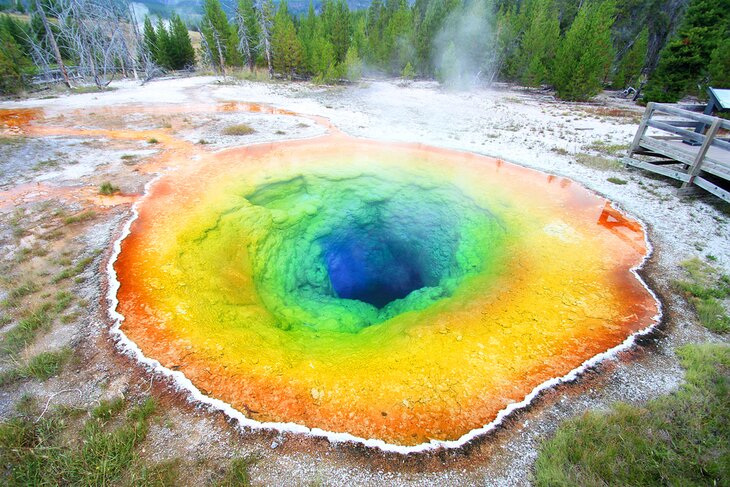 Morning Glory Pool in Yellowstone National Park