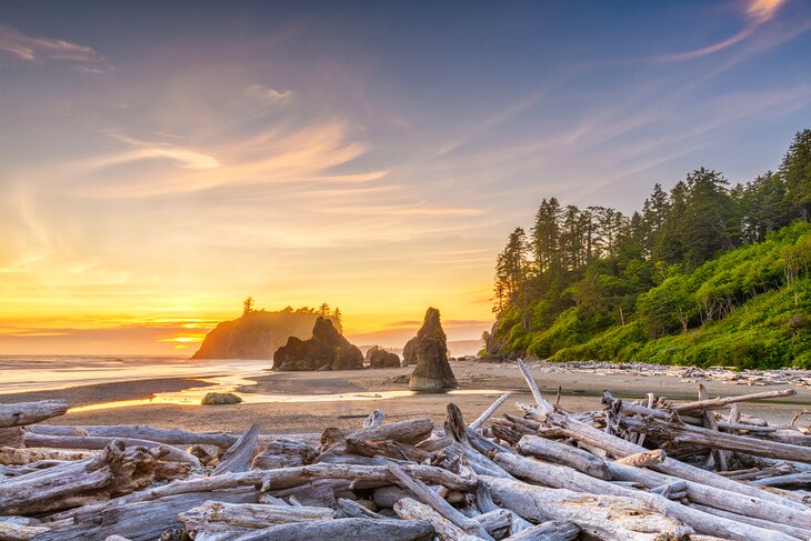 Ruby Beach, Olympic National Park