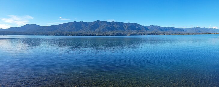 Lake Quinault