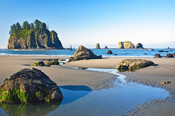 Sea stacks in Olympic National Park