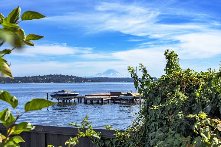 View of Mount Rainier from Denny Blaine Beach