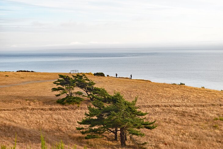 Fort Ebey State Park