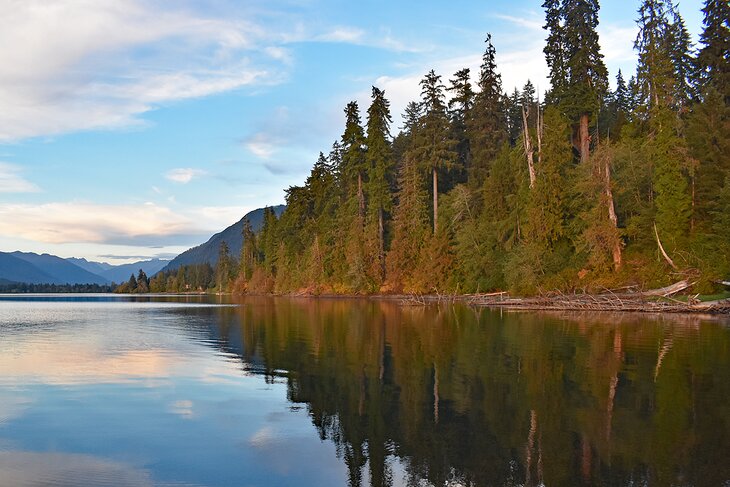 Lake Quinault