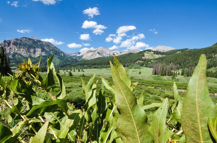 Bridger-Teton National Forest near Granite Creek