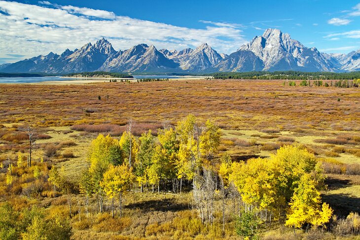 View of Willow Flats and the Teton Range from Lunch Tree Hill