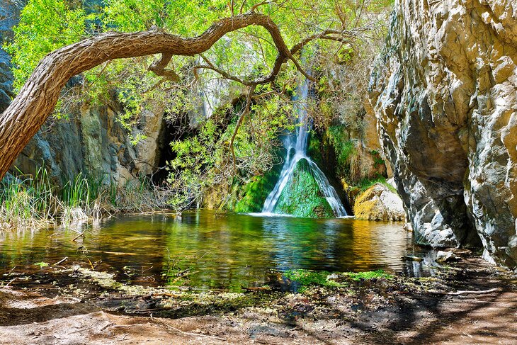 Darwin Falls