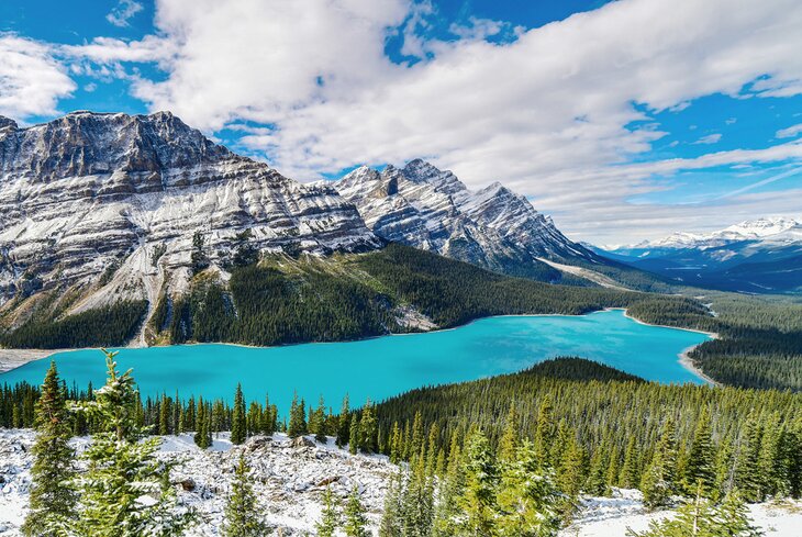 View over Peyto lake in Banff National Park