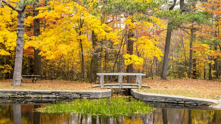 Fall colors in Point Pleasant Park