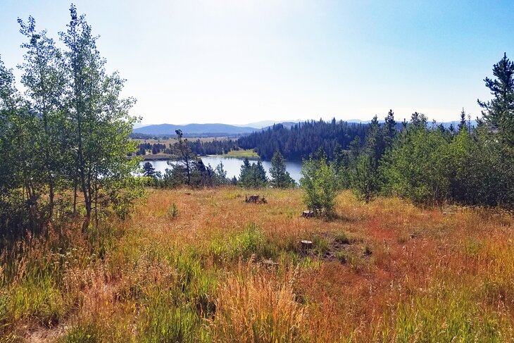 Campsite near Steamboat Springs, Colorado